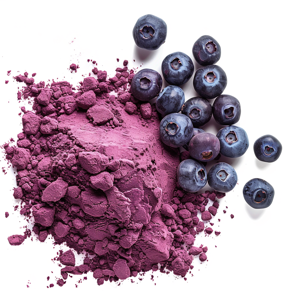 Fresh blueberries beside a pile of blueberry powder on a white background.