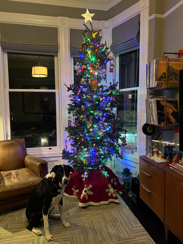 Puppy and Christmas tree