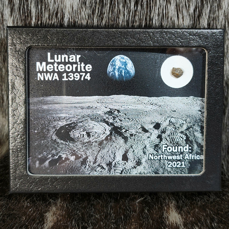 Lunar Meteorite - NWA 13974, B (.9g) | SkullStore Inc.