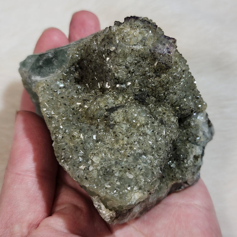 Fluorite & Pyrite C (4