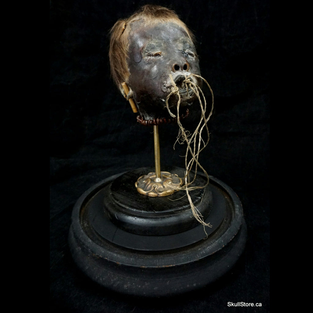 shrunken heads on display