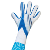 Adidas X Pro Goalkeeper Gloves H65509