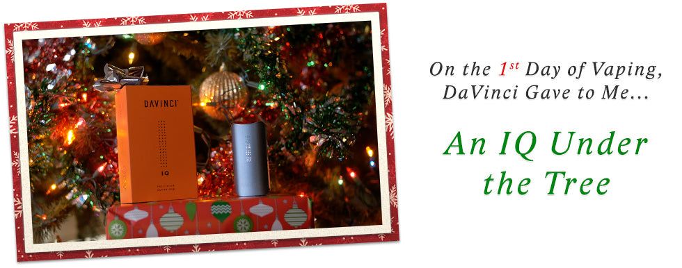 Day 1 of 12 Days of DaVinci Christmas