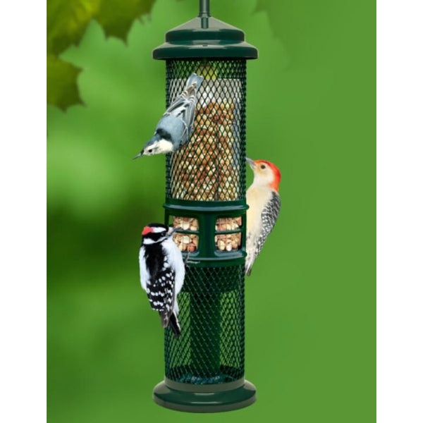 squirrel buster bird feeder near me