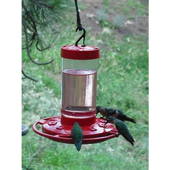 first nature hummingbird feeder