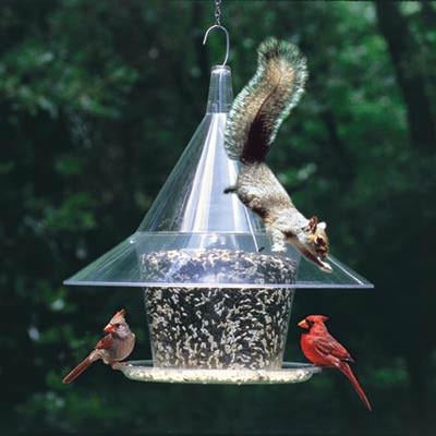 Sky Cafe Squirrel Proof Bird Feeder Backyard Bird Centre