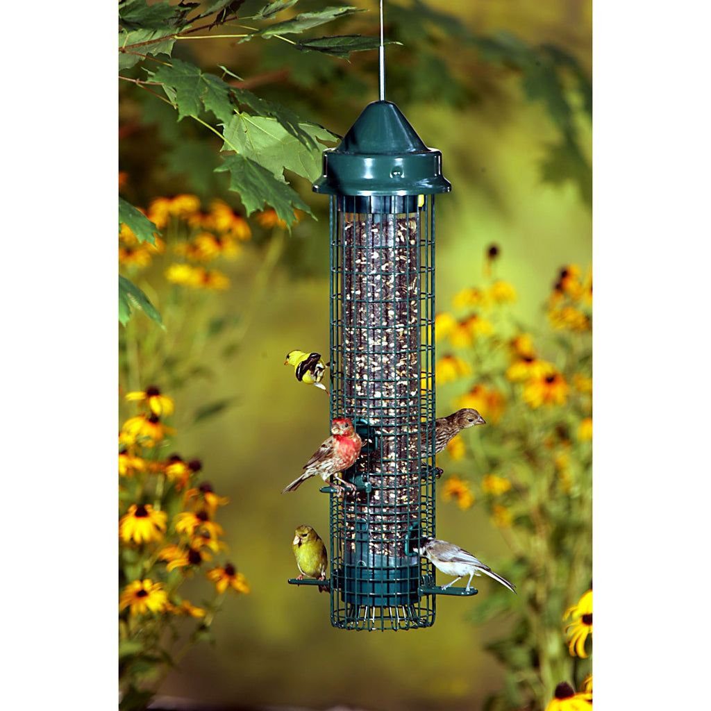 squirrel buster bird feeder canada