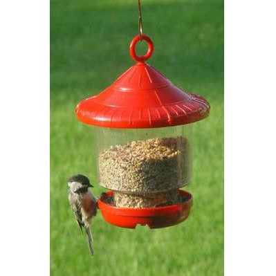 Clingers Only Bird Feeder Backyard Bird Centre