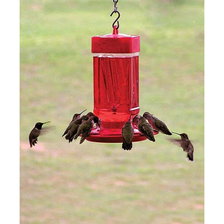 first nature hummingbird feeder