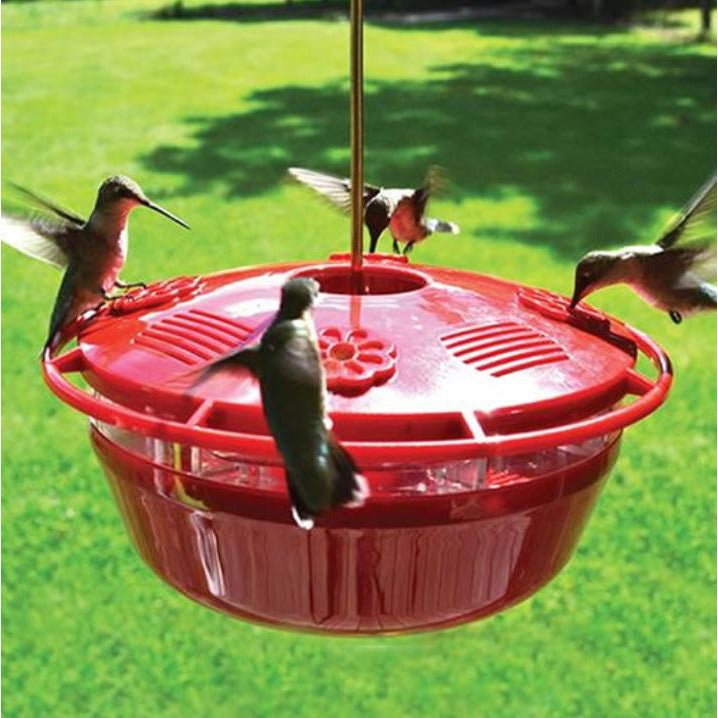 Humm-Yumm Protein Plus Hummingbird Feeder – Backyard Bird Centre