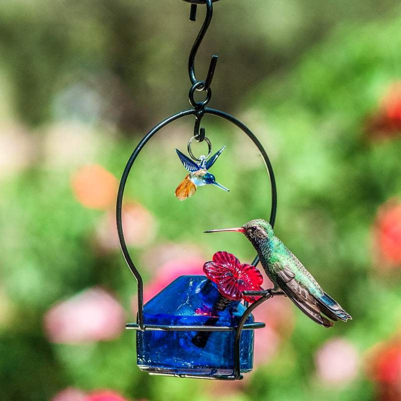 vertical hummingbird feeder