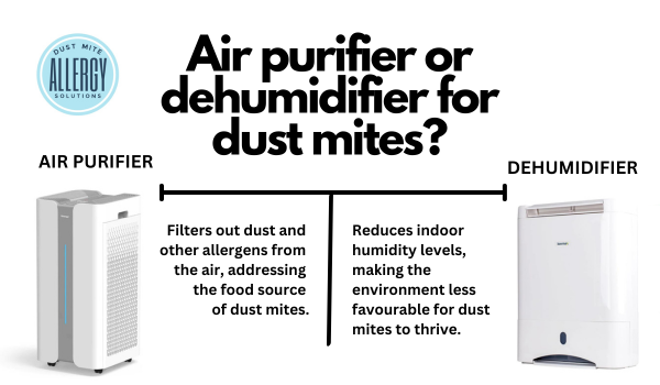 Air purifier or dehumidifier for dust mites? Dust Mite Allergy Solutions