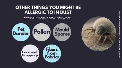 Can You Be Allergic to Dust But Not to Dust Mites?