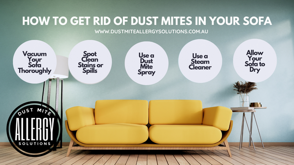 How to get rid of dust mites in a sofa