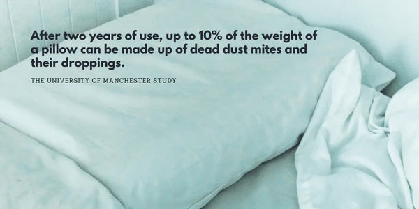 Hypoallergenic Pillows in Australia - Dust Mite Allergy Solutions