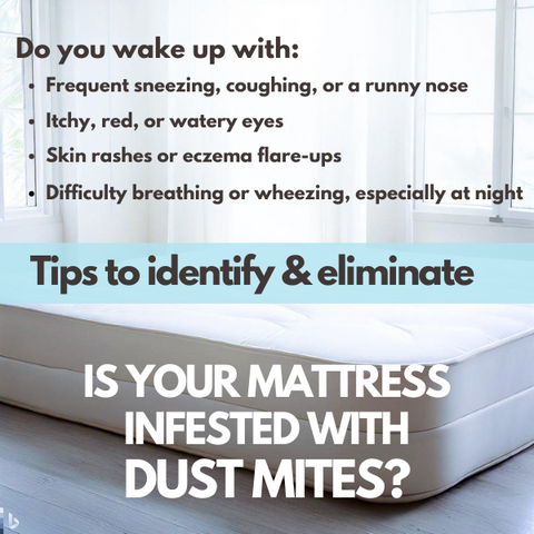 How to get rid of dust mites in mattress