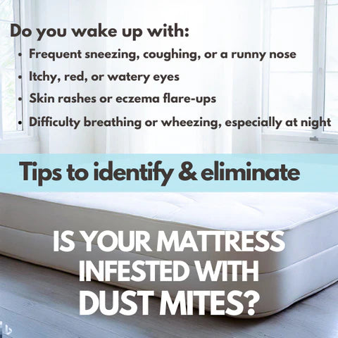 How to prevent dust mites in a mattress