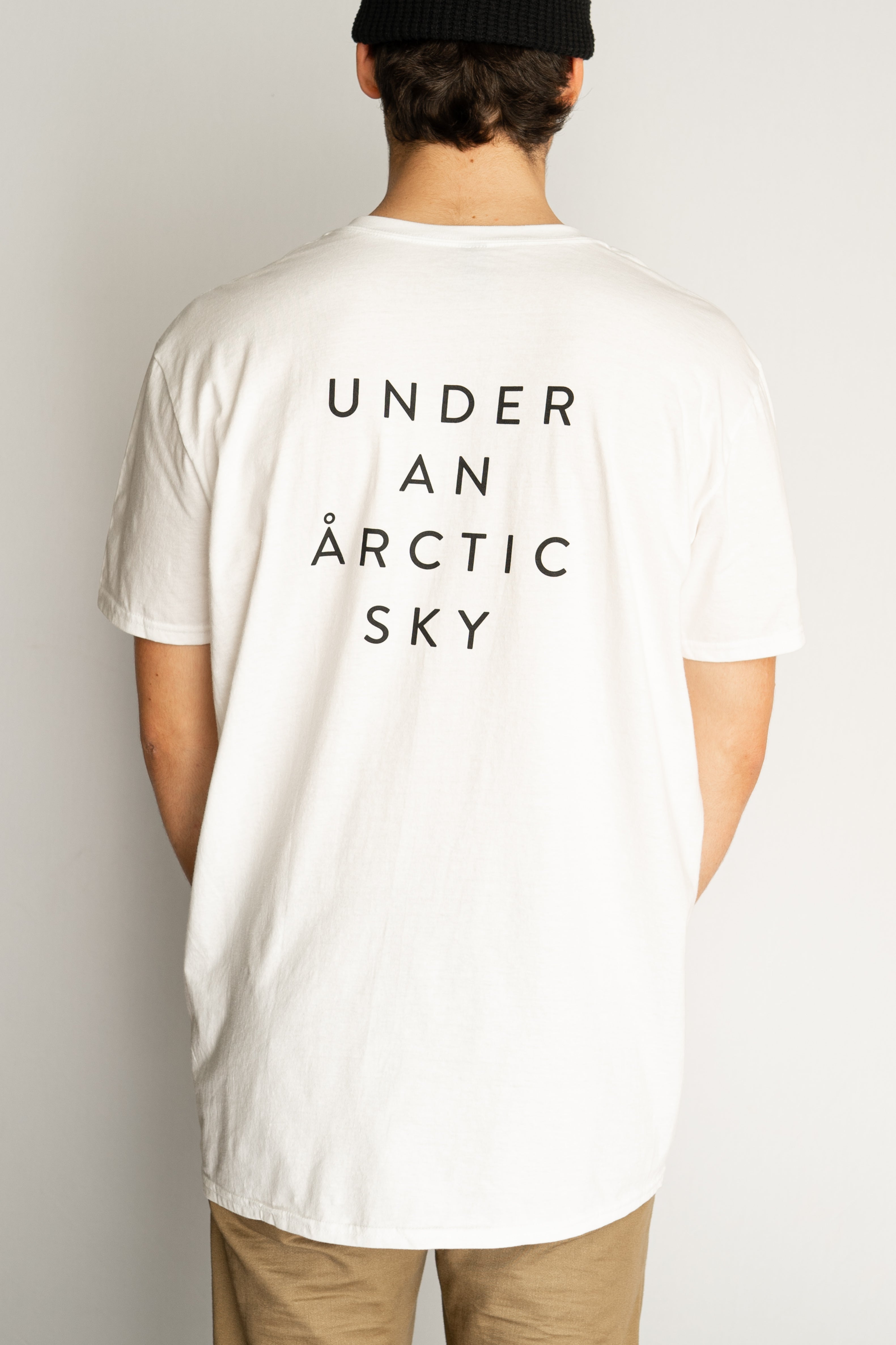 Under an Arctic Sky T-shirt