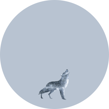 wolf grey