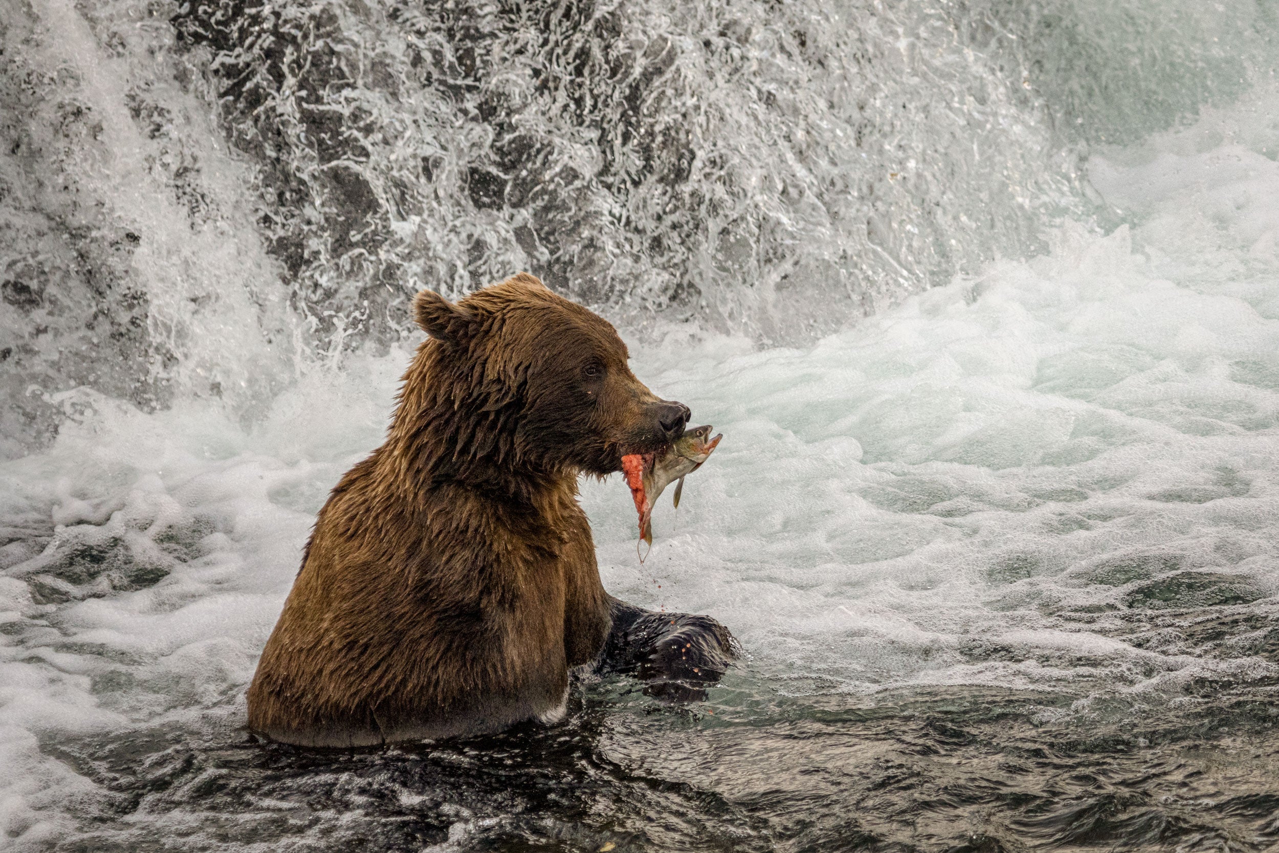 ReillyPhoto cover image