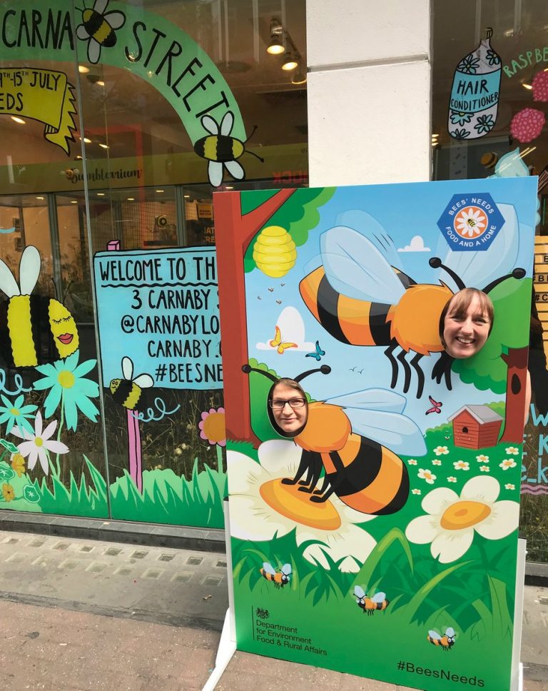 Bees Needs awareness campaign board