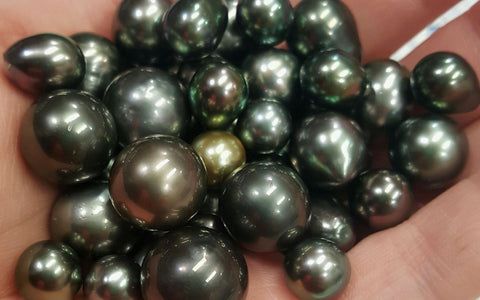Pearl Broome | Types Of Pearls | Willie Creek Pearls