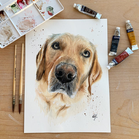 A watercolour portrait of a golden Labrador with puppy-dog eyes. Painted by local artist, Eve Leoni Smith.