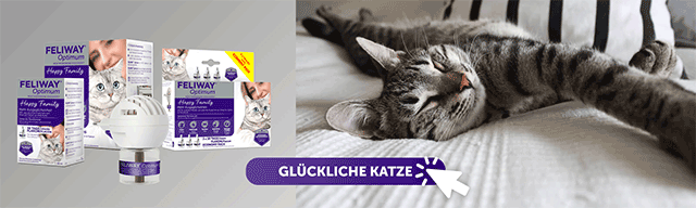 CTA_OPTIMUM_GRAUE_KATZE_HAPPY