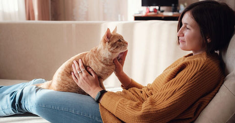 Es gibt verschiedene Persönlichkeitsmerkmale bei Katzen!