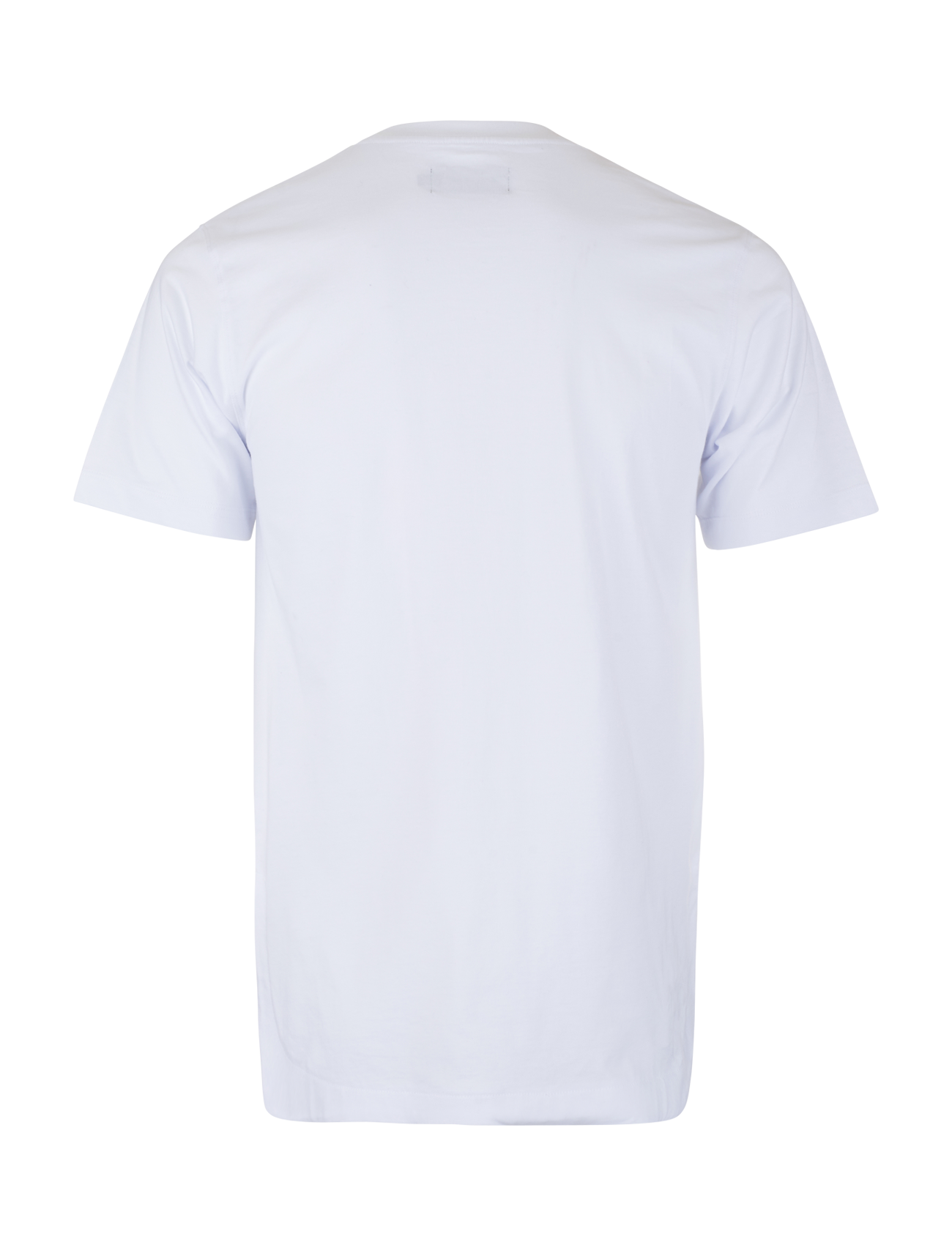 Download Rounded T-Shirt - Blanc - VISIONARY