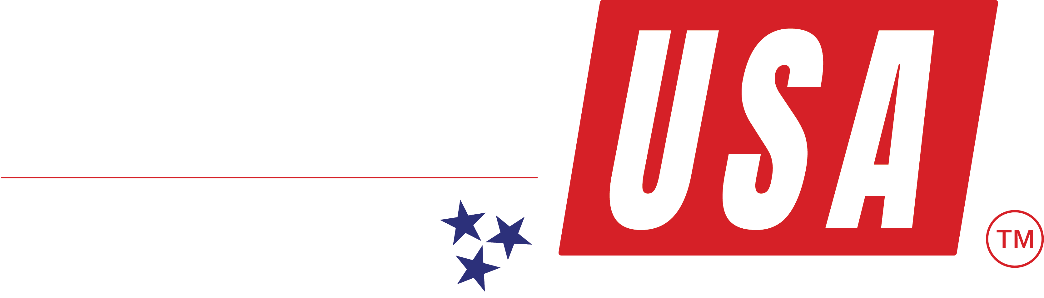 Final_Rally_USA_Logo_White