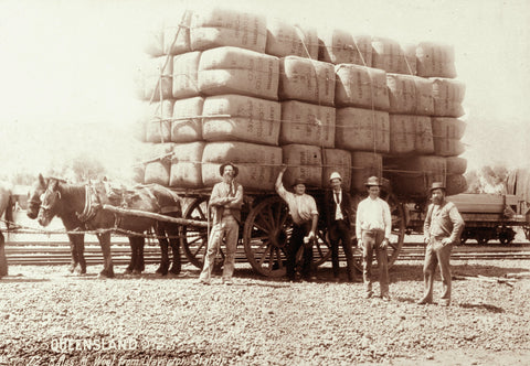 horses pulling load of wool bales