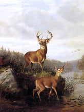 Deer Paintings