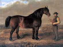 Horses and Horse Riding Paintings