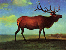 Moose and Elk Paintings