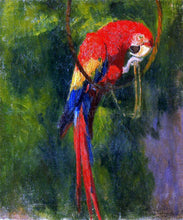 Parrot Paintings