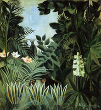 Rainforest and Jungle Paintings