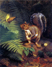 Squirrel Paintings