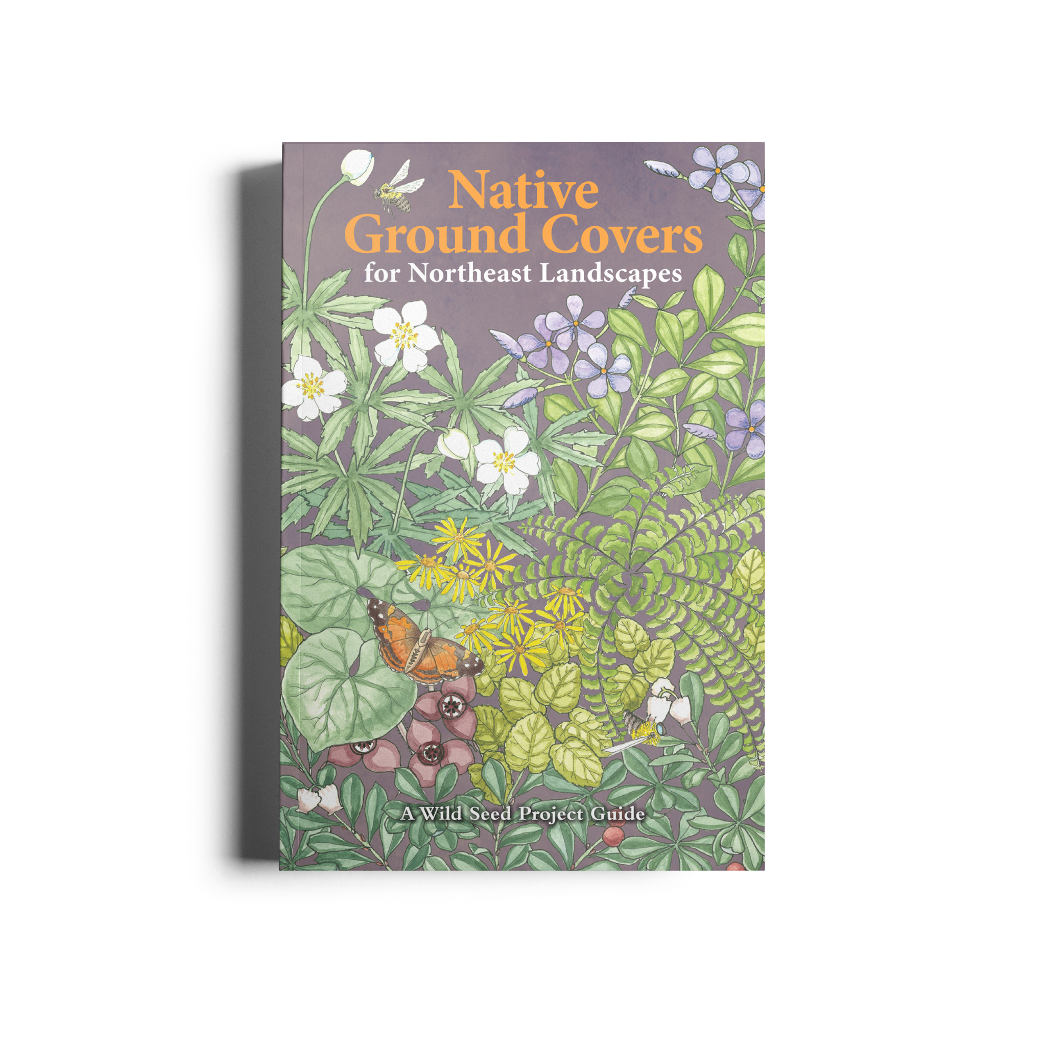 Native Ground Covers for Northeast Landscapes: A Wild Seed Project Guide