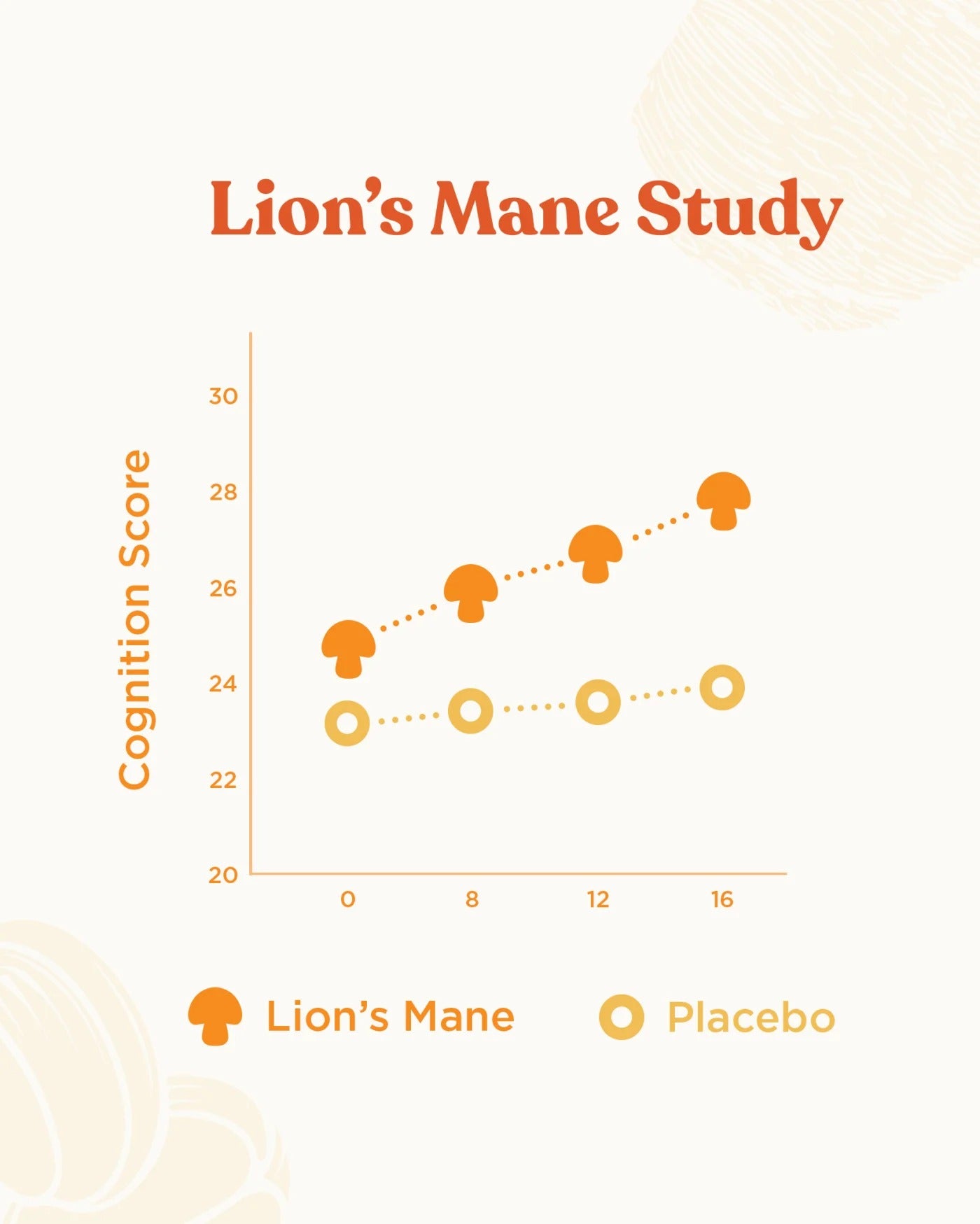 Blog Image Mushroom Chocolate Lion-s Mane Study FINAL