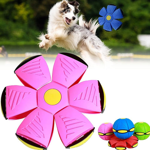 Boule De Soucoupe Volante Jouet Pour Animaux De Compagnie Boule Magique Ufo  Avec LumièRes Boule De Soucoupe Volante Pour Chiens Balle Volante Jouet