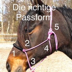 Knotenhalfter Passform