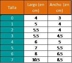 a talla de ropa tu perro – Croquetero