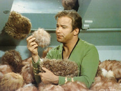 star trek tribbles, trouble with tribbles