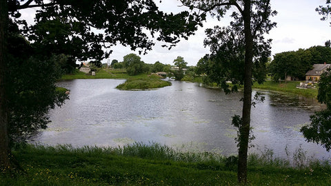 View of lake at Grobiņa from pilskalns