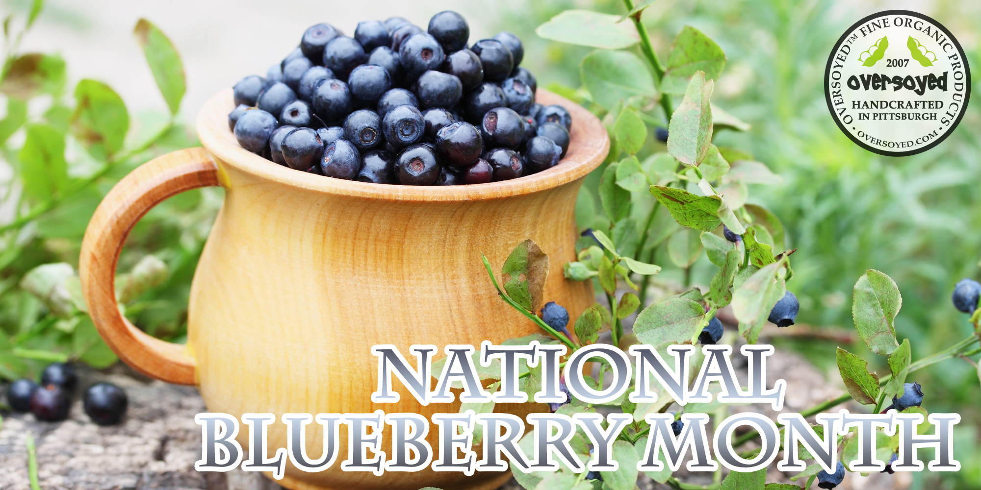 OverSoyed Fine Organic Products - National Blueberry Month