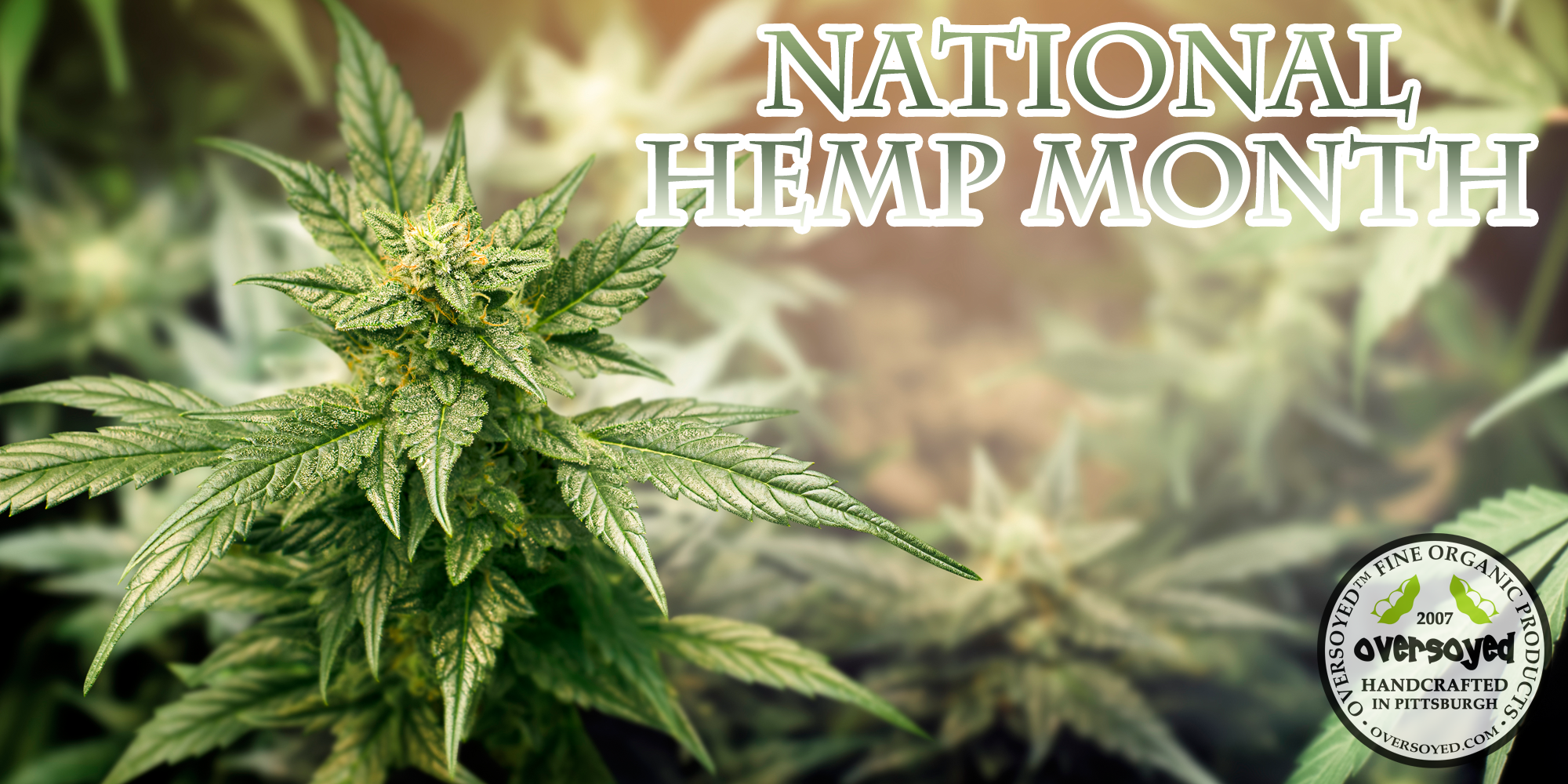 OverSoyed Fine Organic Products - National Hemp Month