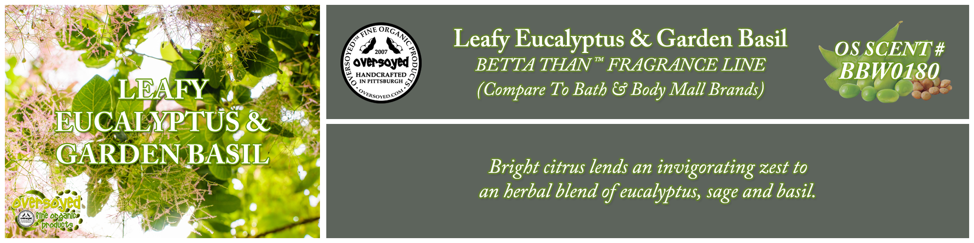 Leafy Eucalyptus & Garden Basil Handcrafted Products Collection