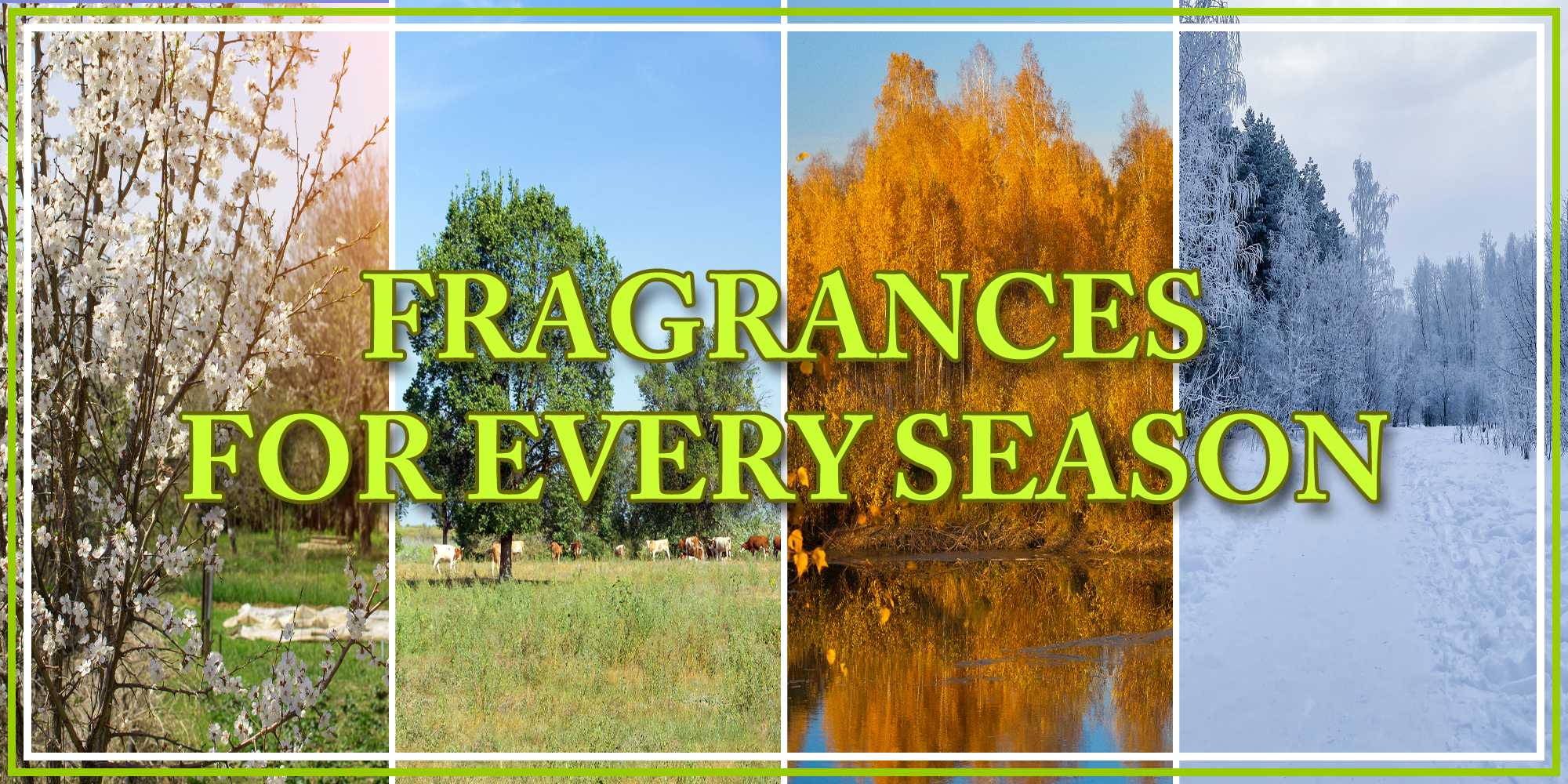 OverSoyed Artisan Handcrafted Products - Shop By Scent - Explore Scents of the Season
