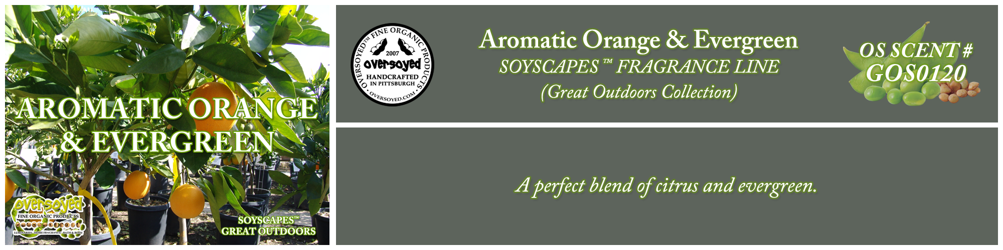 Aromatic Orange & Evergreen Handcrafted Products Collection